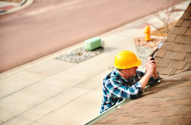 Best Roof Maintenance Services  in Web, AL