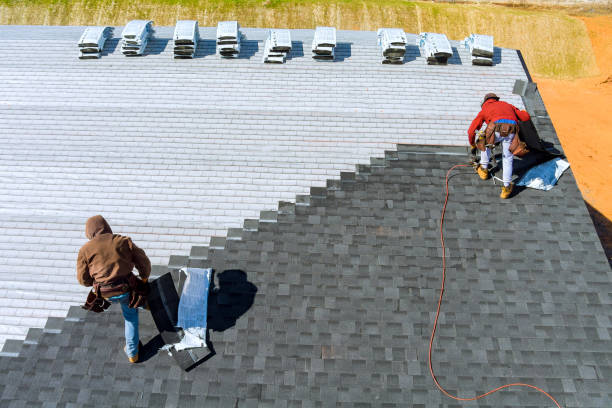 Professional Roofing Contractor in Web, AL