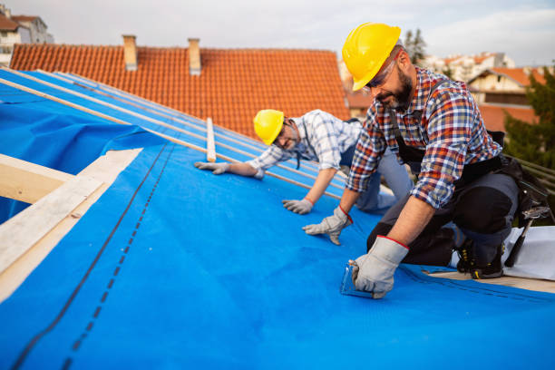 Best Commercial Roofing Services  in Web, AL