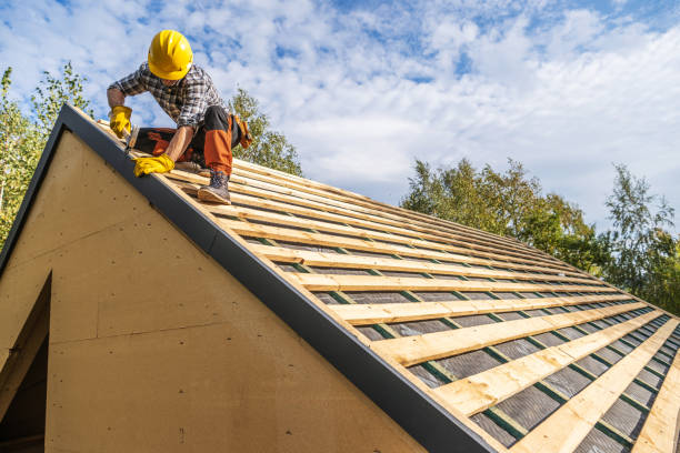 Best Roof Gutter Cleaning  in Web, AL