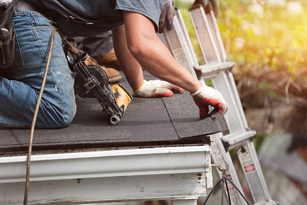 Roof Waterproofing Services in Web, AL