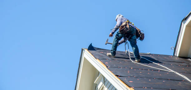 Best Residential Roofing Contractor  in Web, AL